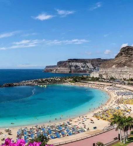 Vibe, Paseo Playa De Canteras, Nomadas Digitales, Ideal Parejas